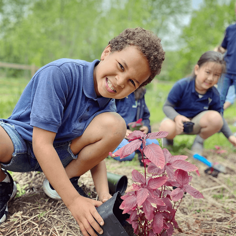 Male student smiling while planting in the garden