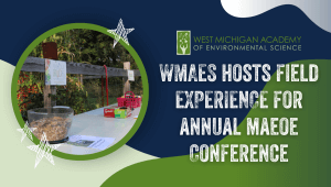 MAEOE Blog Cover (1)