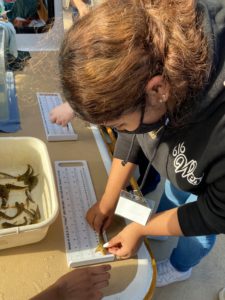 Ms. Beauving's student studying local aquatic life