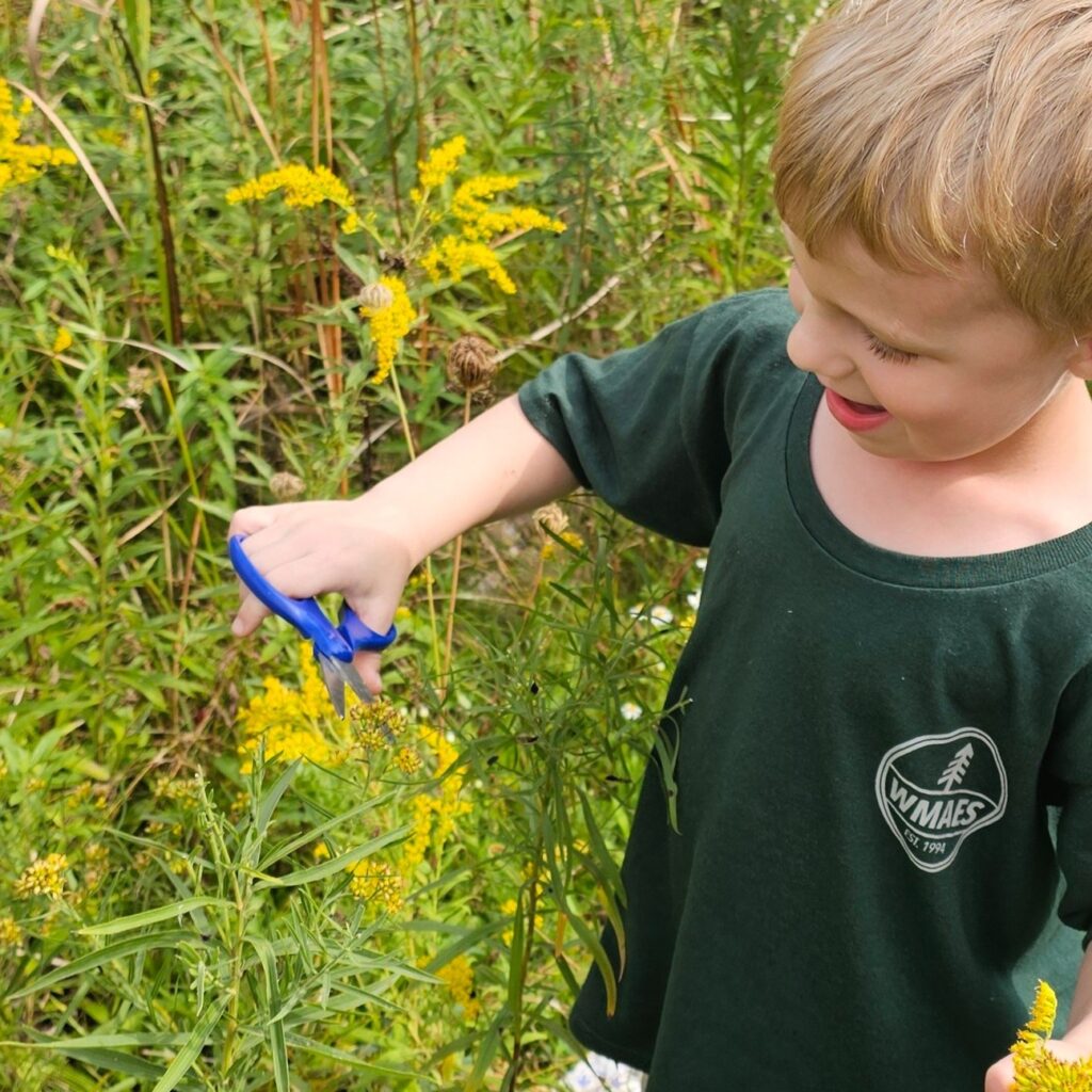Young boy with scissors exploring flowers in a vibrant, green outdoor landscape.