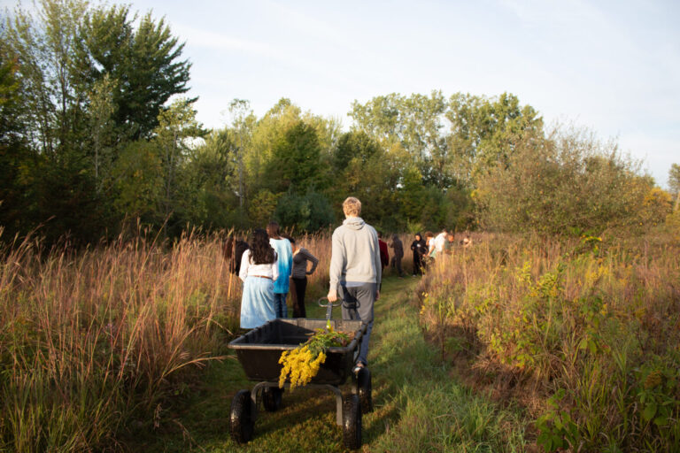 Group walking a rustic path, enjoying nature and vibrant flowers in autumns golden light.