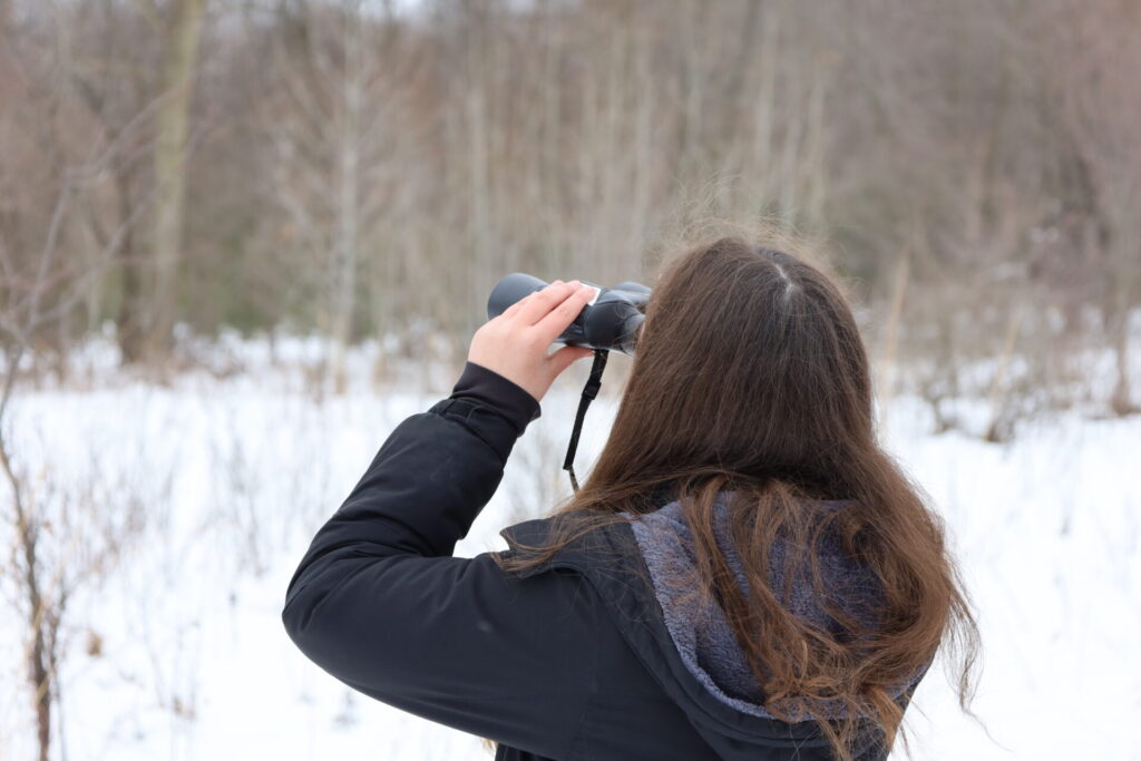 Person observing wildlife in a snowy landscape with binoculars, showcasing winter exploration.