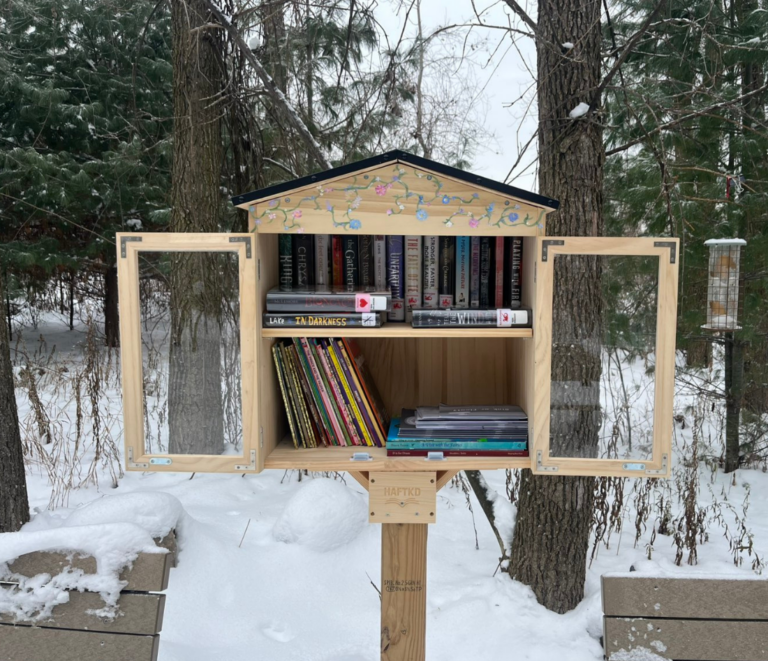 Charming little free library in winter, surrounded by trees, promoting community sharing and reading.